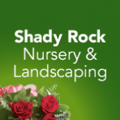 Shady Rock Nursery